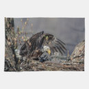 Recherche de aigles cuisine linges Faune