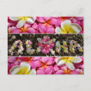 Recherche de aloha honu Hawaii