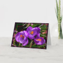 Recherche de fleurs toutes vœux cartes Orange