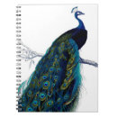 Recherche de paon vintage carnets Animal