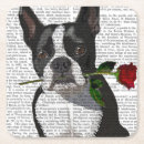 Recherche de steampunk bar Animaux de compagnie mignons