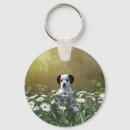 Zoek naar madeliefjes sleutelhangers Schattig