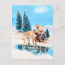 Zoek naar leuke chihuahua briefkaarten Kerstmis