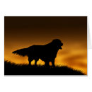 Recherche de chien fidèle cartes postales Compagnon