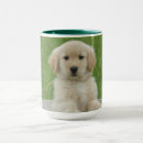 Zoek naar bad mokken Huisdier