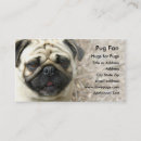 Recherche de carlin cartes visite Animaux