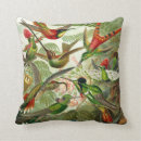 Recherche de ernst coussins Colibri