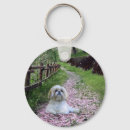 Recherche de tzu de shih porteclés Chiot