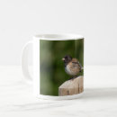 Recherche de yeux tasses Photographie de la nature