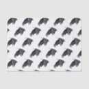 Recherche de aigle de vol 4 juillet