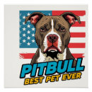Recherche de pitbull posters Amoureux des chiens