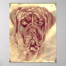 Recherche de mastiff posters Brindle