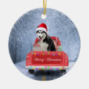 Zoek naar siberian husky ornamenten Sneeuw