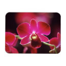 Recherche de malaise magnets Rose