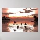 Zoek naar dolfijn zonsondergang kunst Oceaan