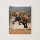 Recherche de elephant puzzles Faune