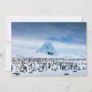 Zoek naar antarctica kaarten Wilde dieren