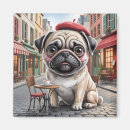 Recherche de rues paris magnets Français