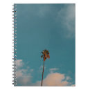 Recherche de palmier photographie Ciel bleu