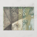 Recherche de herbes cartes postales Fleurs