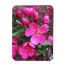 Recherche de jardin botanique magnets Paysage