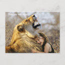 Recherche de carte du monde cartes postales Citation