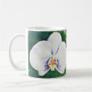 Recherche de orchidée tropicale tasses Vert