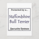 Recherche de staffordshire cartes postales Taureau