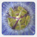 Recherche de fleur passion autocollants Nature