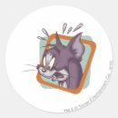 Recherche de chat scaredy Jerry