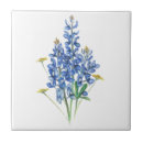 Zoek naar ster tegels Bloem