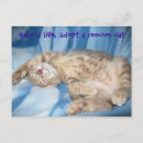 Recherche de adoption de chat cartes postales Secourir