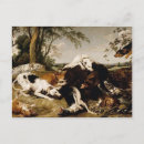 Recherche de sanglier cartes postales Animal