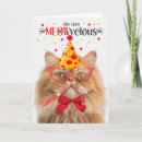 Zoek naar perzische katten kaarten Kattenliefhebber