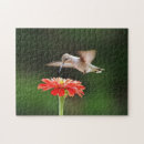 Recherche de colibri puzzles Fleur