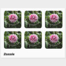 Recherche de fleur dahlia autocollants Rose