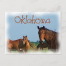 Zoek naar wild paarden briefkaarten Land