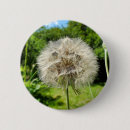 Recherche de de chèvre badges Vert
