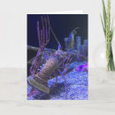 Zoek naar kreeft kaarten Vis