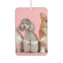 Recherche de animal familier voiture accessoires Chat
