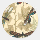 Recherche de libellules colorées autocollants Insecte