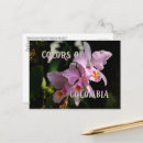 Recherche de cattleya cartes postales Rose