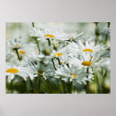 Recherche de pacifique art Blanc