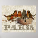 Recherche de vintage bird posters Français