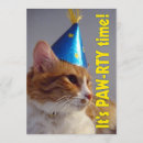 Recherche de chat orange et blanc invitations Pour enfants
