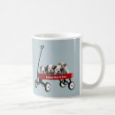 Recherche de bouledogues tasses Chien de taureau