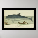 Recherche de mer vintage posters Illustration