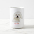 Recherche de de bichon tasses Maltais