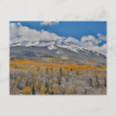 Recherche de chute neige cartes postales Bois