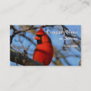 Recherche de cardinal cartes visite Rouge